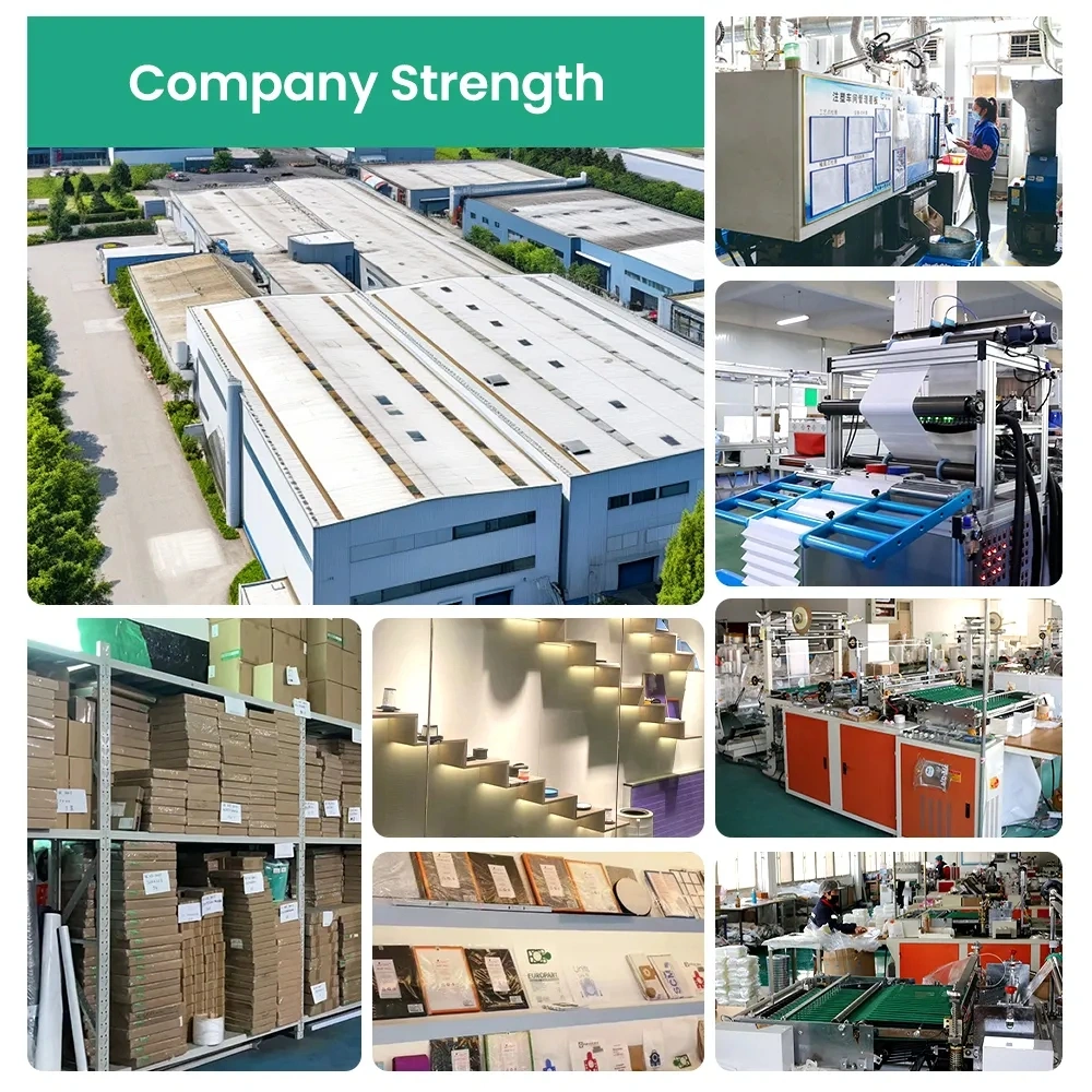 Company factory, production equipment, warehouse and operating team